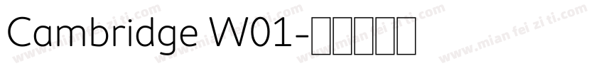 Cambridge W01字体转换
